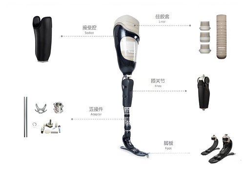 下肢假肢結構圖解介紹